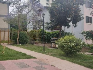 place photo 38
