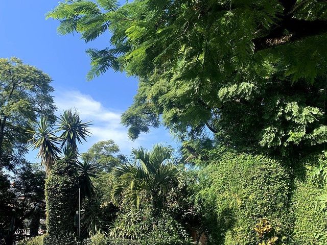 place photo 30