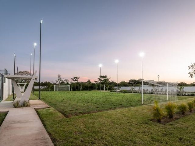 place photo 16