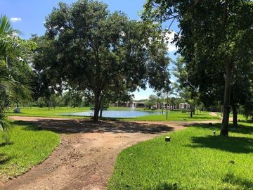 place photo 33