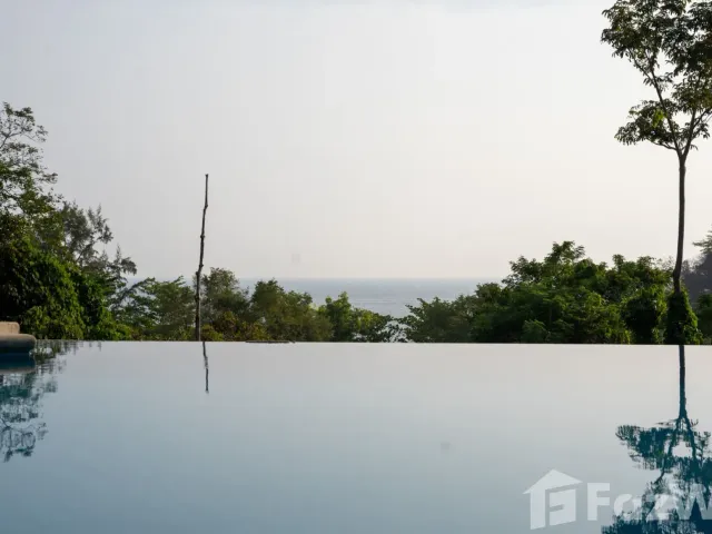 place photo 56