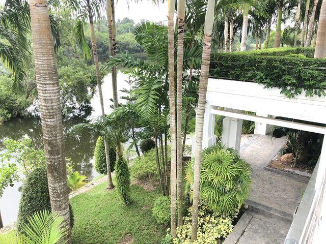 place photo 87