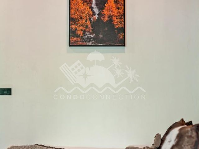 place photo 54