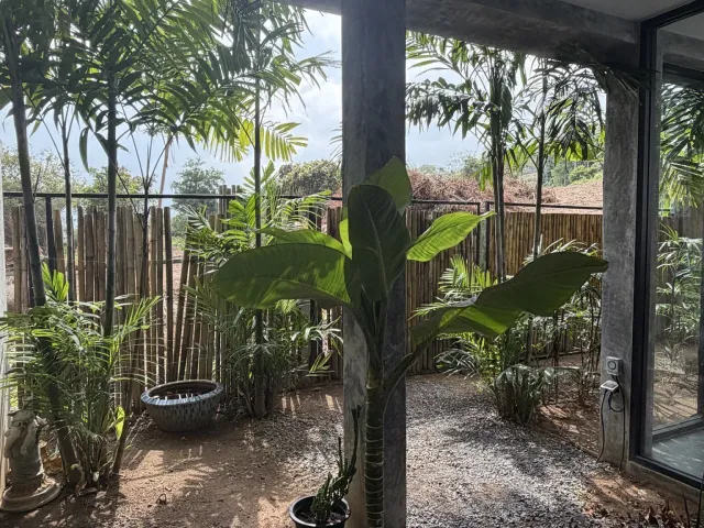 place photo 41