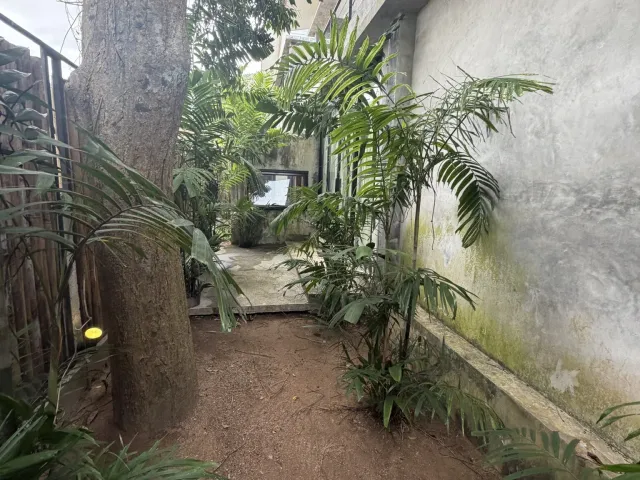 place photo 39