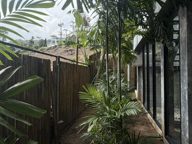 place photo 40