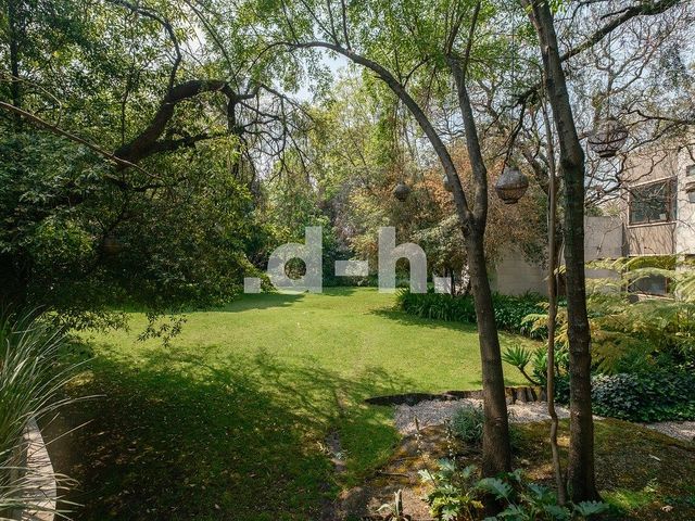 place photo 47