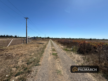 place photo 28