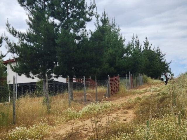place photo 13