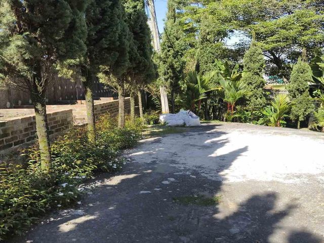 place photo 35