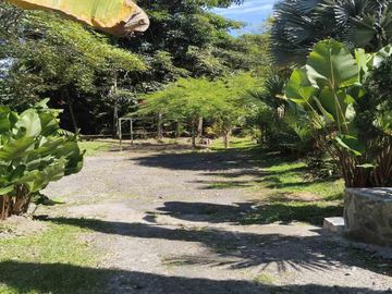 place photo 40