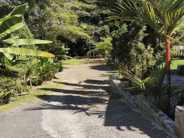 place photo 39