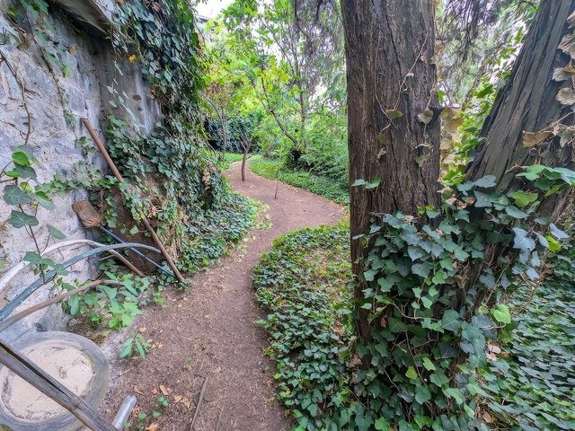 place photo 43