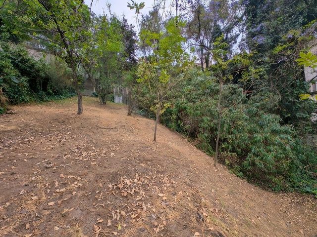 place photo 45