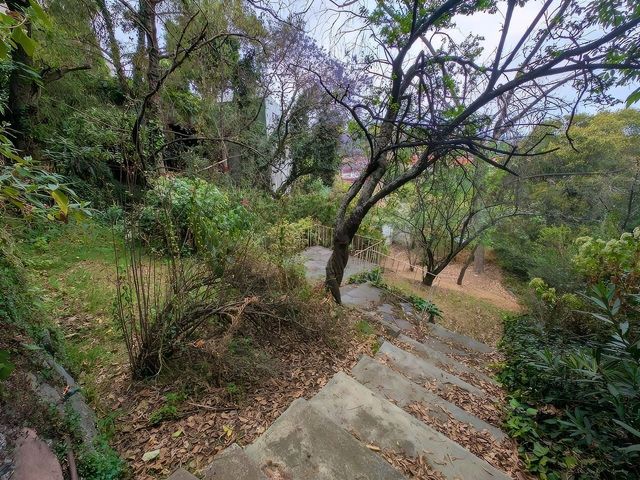 place photo 44