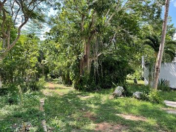 place photo 35