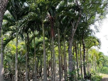 place photo 38