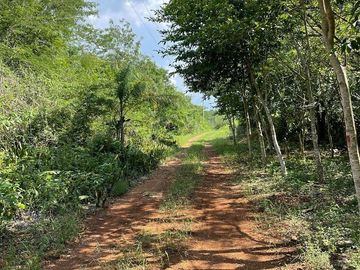 place photo 42