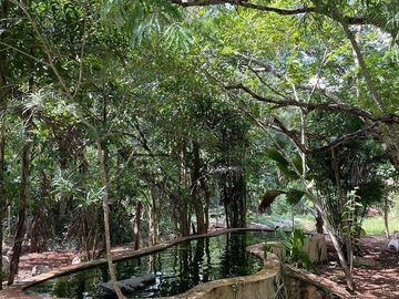 place photo 43