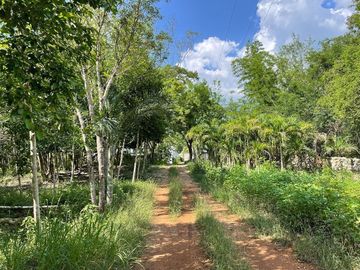 place photo 41