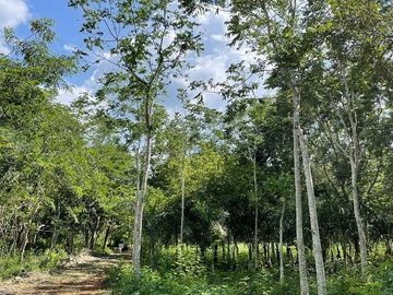 place photo 47