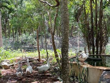 place photo 32