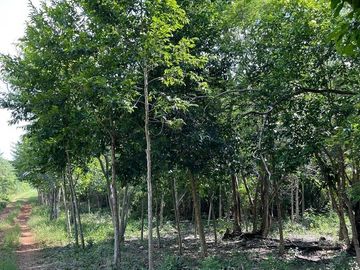 place photo 39