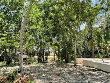 place photo 24