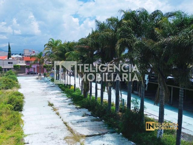place photo 10