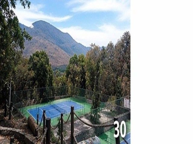 place photo 30