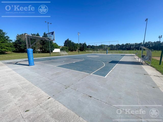 place photo 48