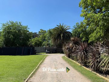 place photo 36