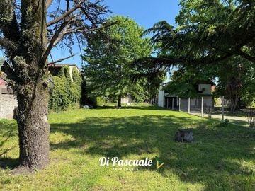 place photo 52