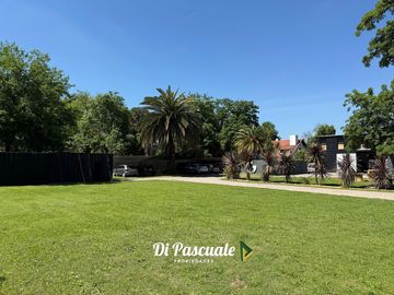 place photo 39