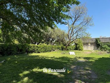 place photo 54