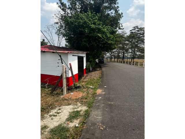 place photo 6