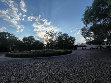 place photo 36