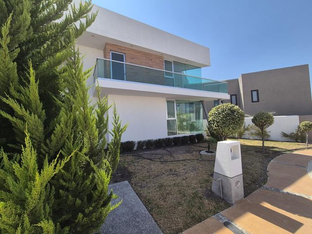 place photo 46