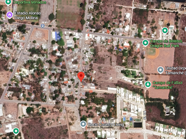 place photo 4