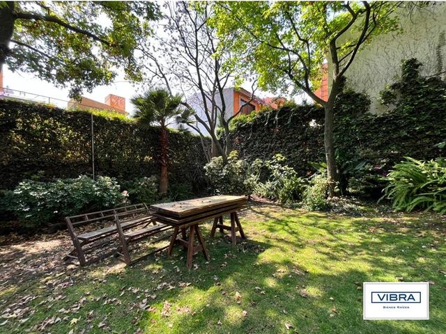 place photo 46