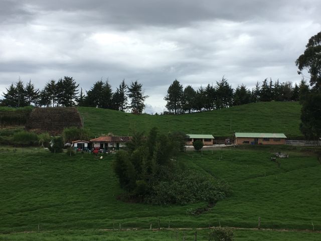 place photo 14