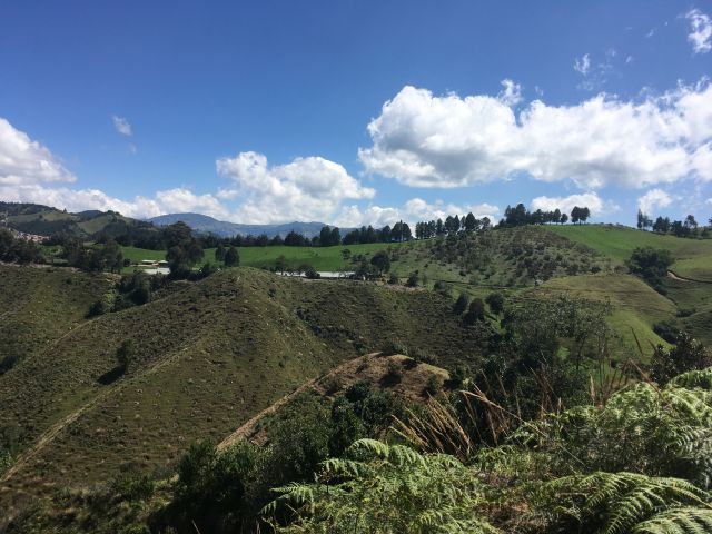 place photo 23