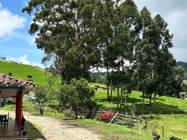 place photo 20