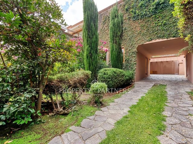 place photo 47