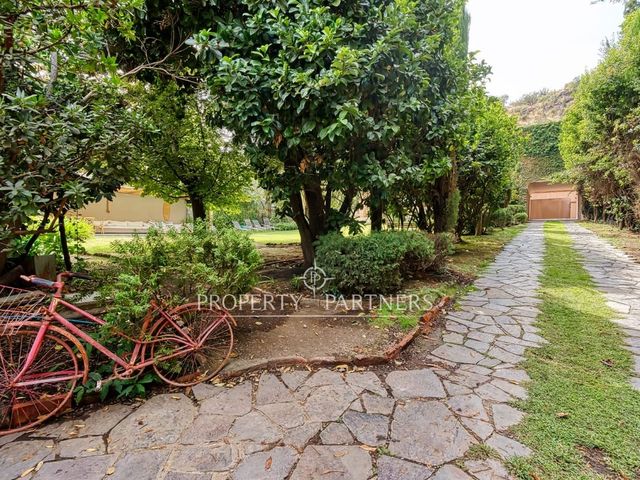 place photo 48
