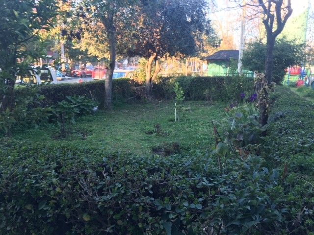 place photo 16