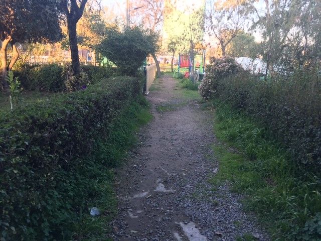 place photo 15