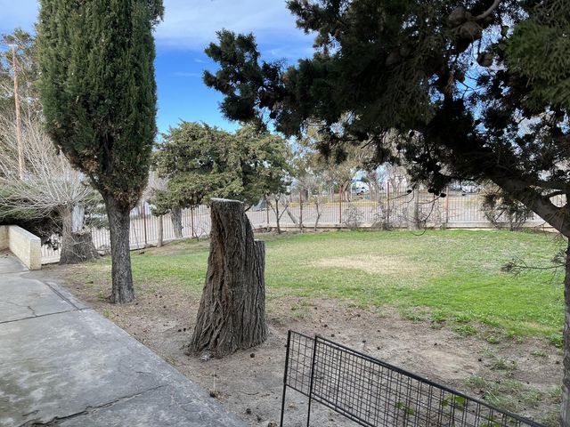 place photo 49