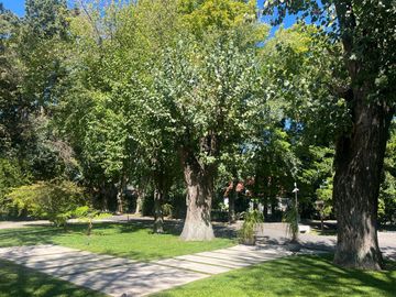 place photo 82