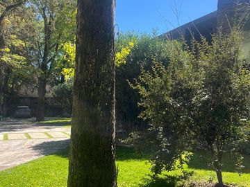 place photo 39
